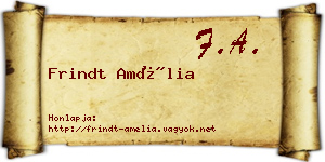 Frindt Amélia névjegykártya